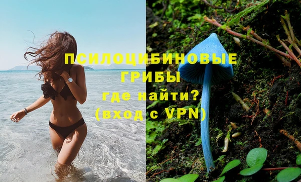 бошки Абдулино