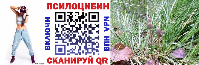 Галлюциногенные грибы прущие грибы  Астрахань 